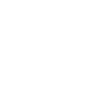 The Vegan Shop